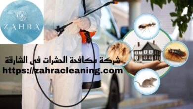 صورة شركة مكافحة حشرات الشارقة