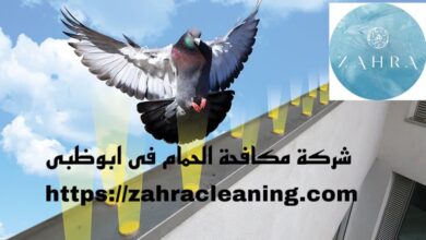 صورة شركة مكافحة الحمام ابوظبى خصم 50%