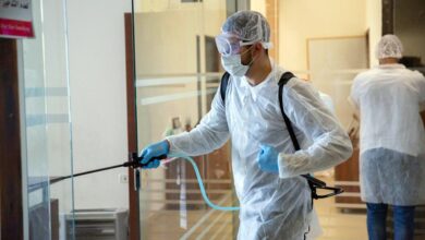 صورة شركة مكافحة الرمة في دبي