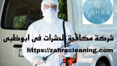 صورة شركة مكافحة حشرات في ابوظبي