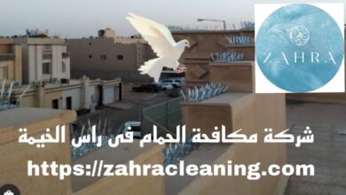 صورة شركة مكافحة الحمام راس الخيمة خصم 40%